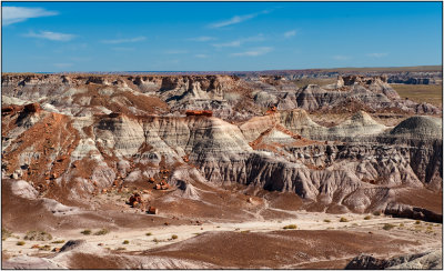 Petrified Logs and the Painted Desert