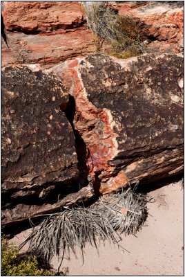 A Broken Petrified Log