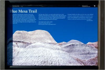 Blue Mesa Trail