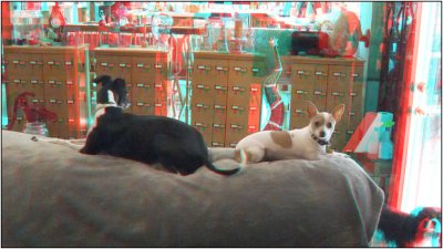 Riley & Chica