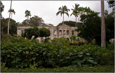 The Ruins of Farley Hill Mansion