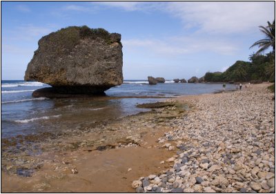 Gigantic Rocks Along the Beach at Bathsheba