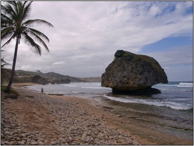 Strolling the Beach, Bathsheba, Barbados