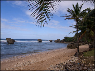 Bathsheba, Barbados