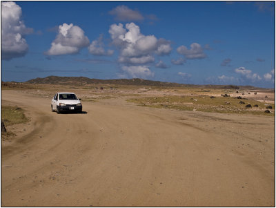 The Dry Side of Aruba