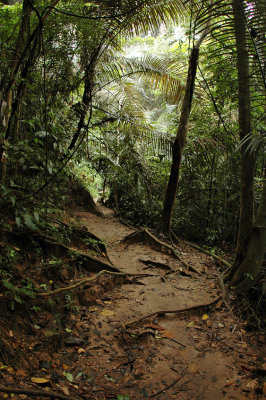 DSC_5413FxShWeb.jpg