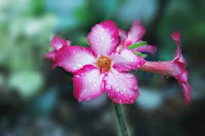 DSC_8797NrFxShWeb.jpg