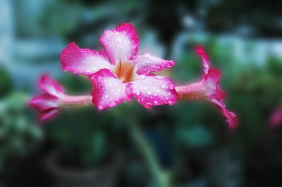 DSC_8808NrFxShWeb.jpg