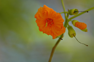 DSC_8175FxShWeb.jpg