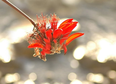 DSC_8261FxSh2Web.jpg