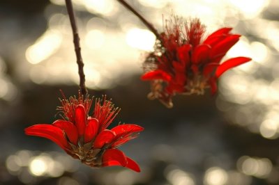 DSC_8263FxShWeb.jpg