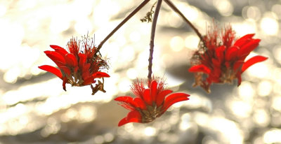 DSC_8264FxSh2Web.jpg