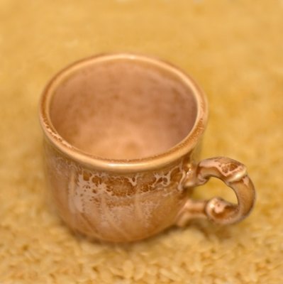 DSC_9412FxShweb.jpg