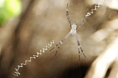 DSC_0588FxShweb.jpg