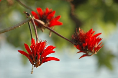 DSC_8280FxShWeb.jpg