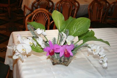 IMG_9214.jpg