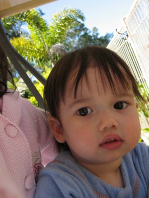 18 Months