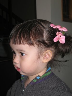 IMG_0035.jpg