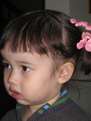 IMG_0036.jpg