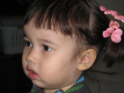 IMG_0037.jpg