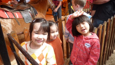 g1/03/35903/3/128569544.2SHeVi02.jpg