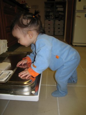 IMG_0059.jpg