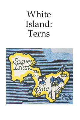 White Island: Terns