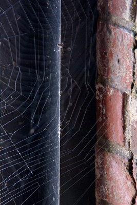 Lighthouse interior spiderweb.