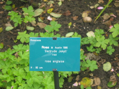 g1/03/455403/3/109867114.uosXhfH5.jpg