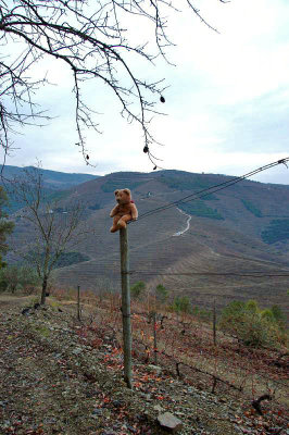 In the heart of Douro region