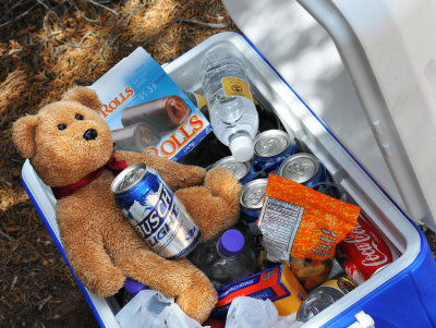 I fell in the cooler... was an accident, of course! !