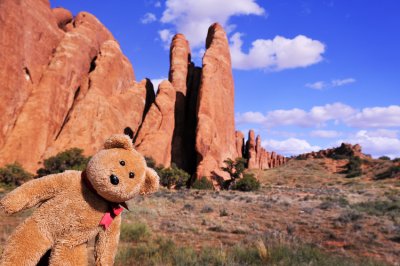 At Arches, there are all kinds of rocks!