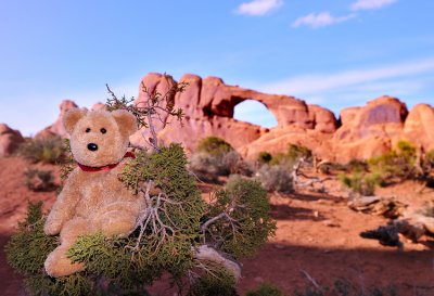 Now I see why Arches is named Arches !