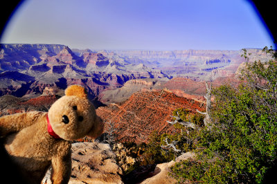 This Canyon is miles long... miles!!
