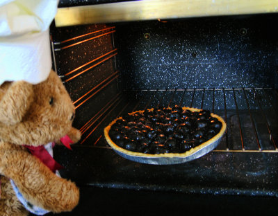 Bake the pie in the oven for about 45 minutes!