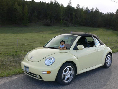 Riding the range on a trusty Beetle