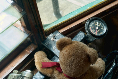 Driving the tram is easy for a memember of Bear family...