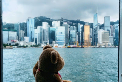 The Hong Kong Skyline sure is impressive