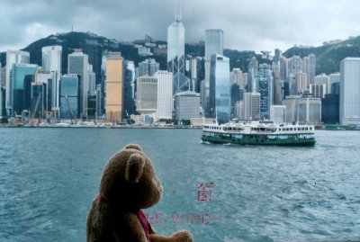 That's the Star Ferry there....