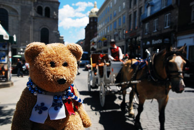 I'd like to take a tour on a horse-drawn carriage!