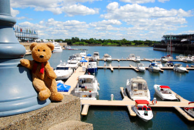 Dreaming of a cruise....