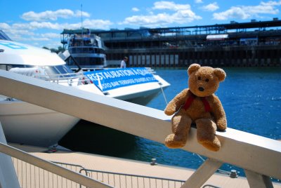 The famous Catamaran -Bistro-Bar -Terrasse!
