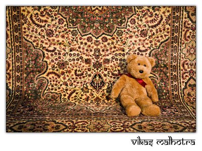 I'm thinking of buying this carpet...