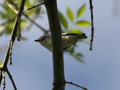 IMG_2673.jpg