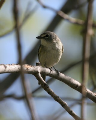 IMG_2676.jpg