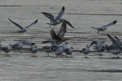 IMG_8290.jpg
