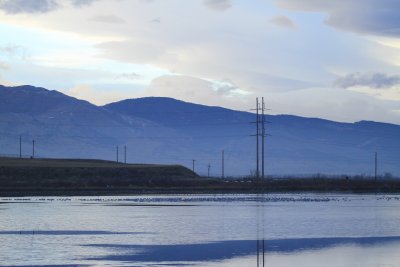 IMG_8430.jpg