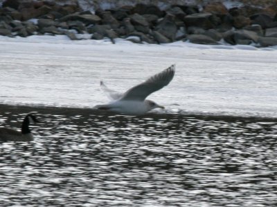 IMG_9083.jpg