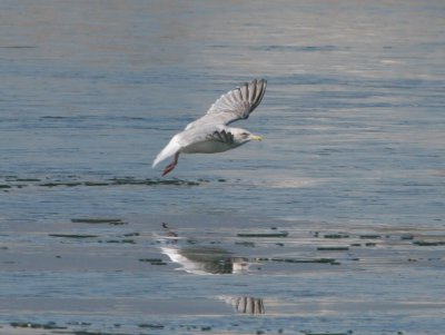 IMG_9269.jpg