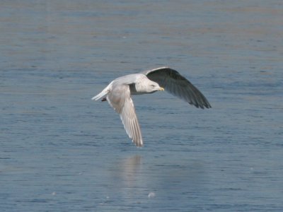 IMG_9271.jpg